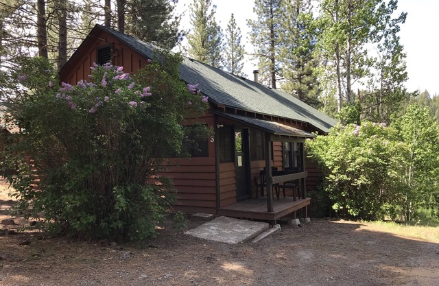 Nature Sabbatical ~ Cabin with Amazing River Views on 40 Acres