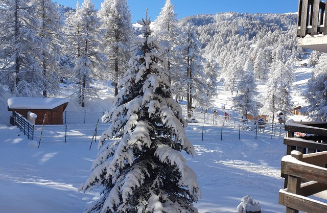 NATURE - SNOW FRONT - CALM - FRIENDLY TEAM - VERY GOOD STAY ASSURED