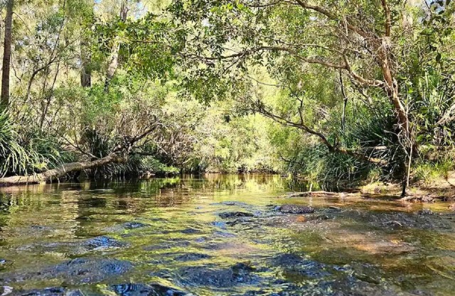 Nature & Stuff