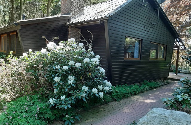 Nature vacation on 23000 m² natural site