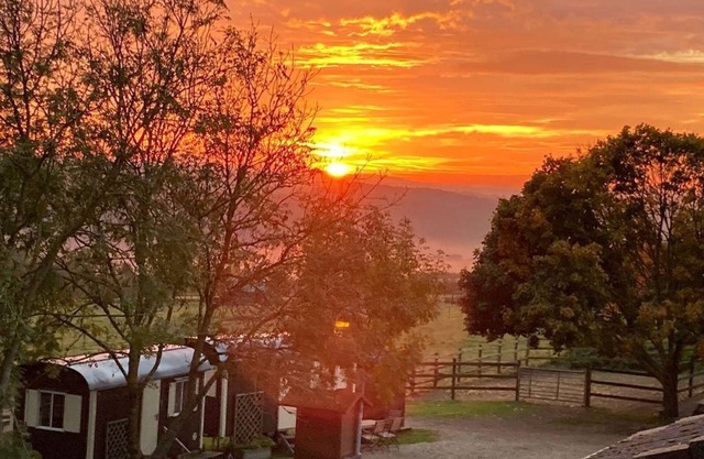 Naturerlebnis Bauwagen - Heinrichshof - Wohn-bauwagen bis 4 Pers
