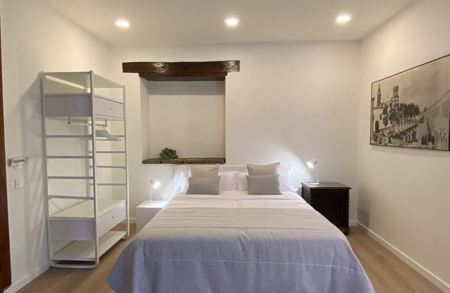 Nava Suites - Junior Suite with 1 bedroom for 2 in the center of La Laguna.