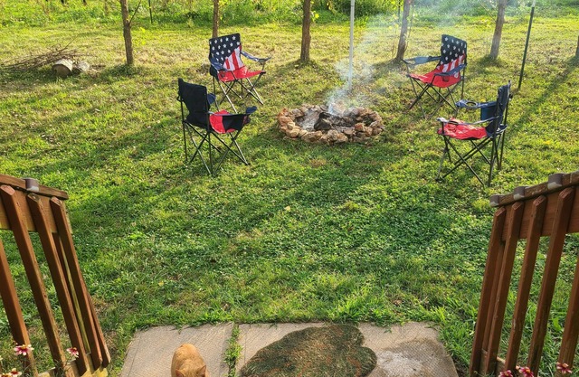 Near Camdenton, Farmhouse Experience, Animals, Fun Lighting, Soundbar, Starlink