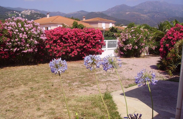 near the beach Mini sunny Villa in a quiet campaign