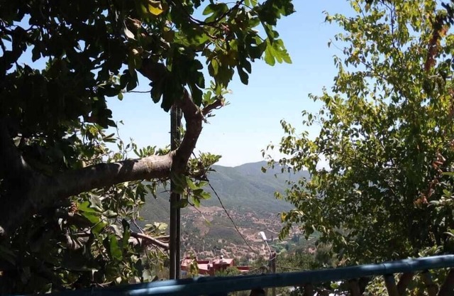 Nefzi Guest House