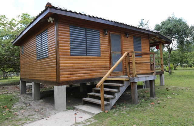 Nestled in the heart of the rainforest, Casa Stevens offers a unique stay