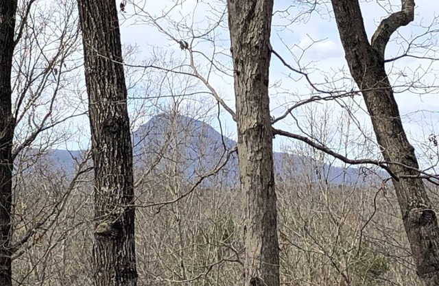 Nestled in the Northeast Georgia Mountains.