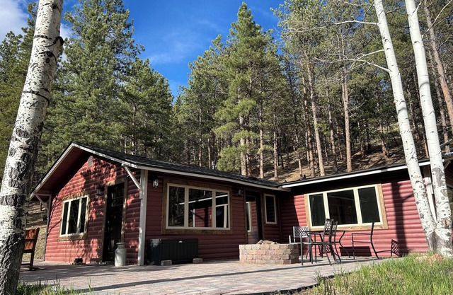 New! Aspen turning! 1 hr from DIA! Gas firepit & Wifi