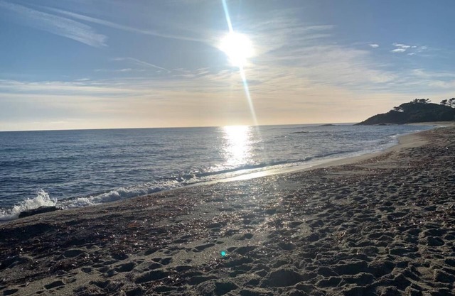 New Beach and family fun