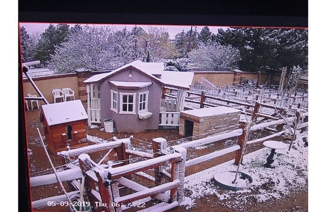 NEW Bright & Sunny Comfort - Urban Farm Living!