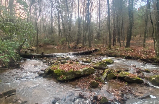 New cabin 1 mile from Blue Ridge Parkway. Minutes from Appalachian Trailnnnnn