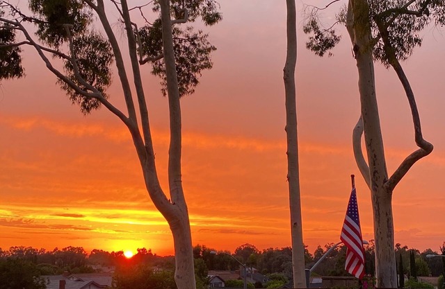 New! Comfort meets elegance: Your next home. Pet friendly!