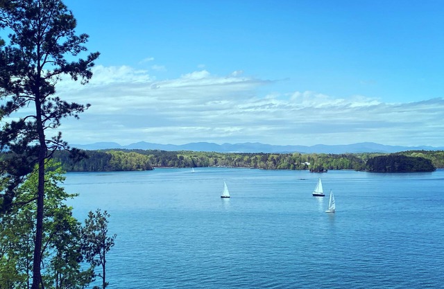 NEW! Lakefront Covered Dock Best View on the Lake Privacy!