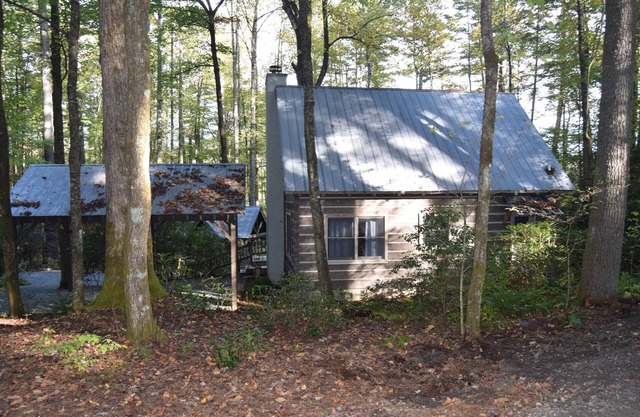 New Listing! Rustic Cabin in the Laurels, in town, pet-friendly
