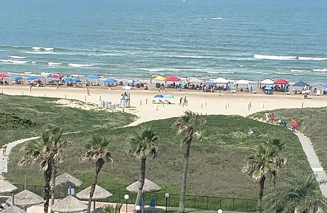 New Listing - Awesome Beachfront Condo !