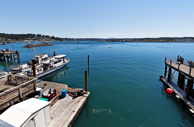 New listing! Waterfront lodge studio w/ fireplace & balcony - on the Bayfront!