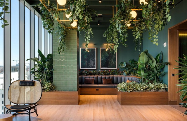 *New* Soaring Sunset by Atlanta Luxury Rentals