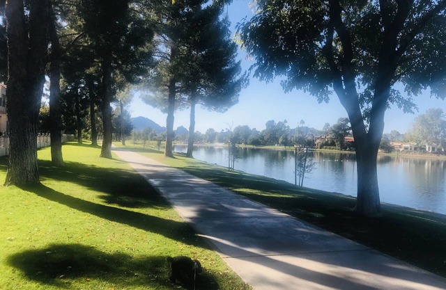 New! Striking McCormick Lake Condo in Heart of Resort & Entertainment Area