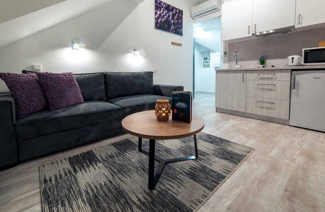 New Studio Apartments in Center of Zagreb