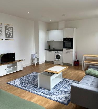 Newly Furnished Bright Studio