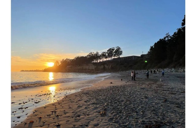 Newly Renovated 3-Bedroom New Brighton Beach Condo