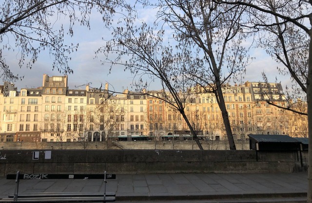 Next to Notre Dame, in the heart of Paris, charm and refinement. 7 days minimum