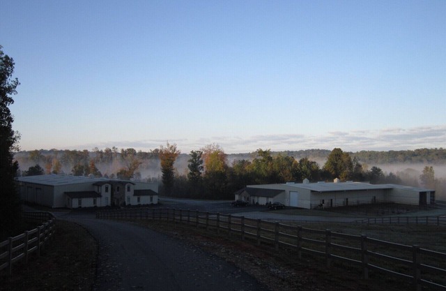 Nice Economic family friendly apartment on horse ranch