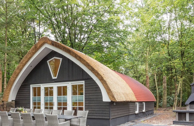 Nice group accommodation with BBQ in Overijssel