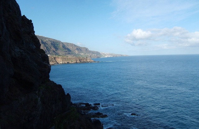 Nice studio primarily on the ocean.