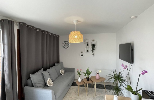Nice T2, terrace and garden near Roissy CDG Disney Asterix ideal for families