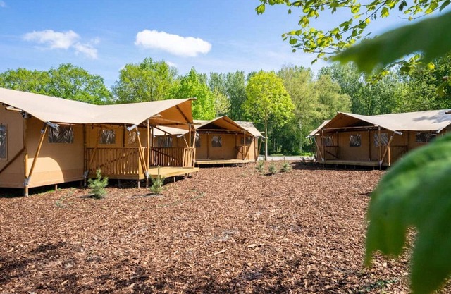 Nice tent lodge near Amsterdam
