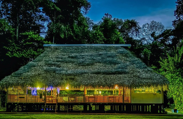 Nicky Amazon Lodge