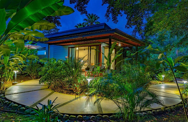 Noah's Forest by Tifakara