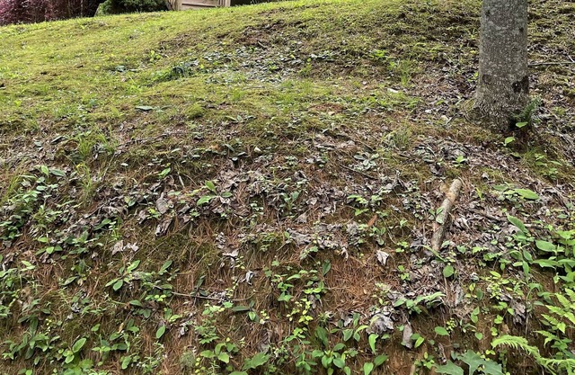 North East Georgia mountain cabin with Lake Burton views, gazebo, and fire pit.