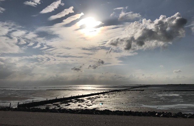 North Sea, near St. Peter Ording, house directly on the dike, very quiet