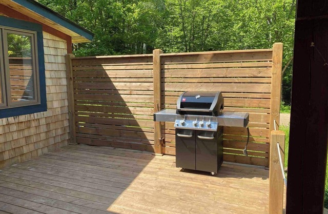 Northern Retreat, 3BR Rustic Cabin: Lakeview, Private Beach & Dock, Pet Friendly