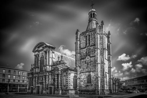 Notre-Dame Renaissance - Confort