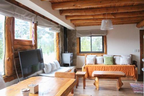 NOTRO 5 Tordo en la base del cerro Catedral con vistas