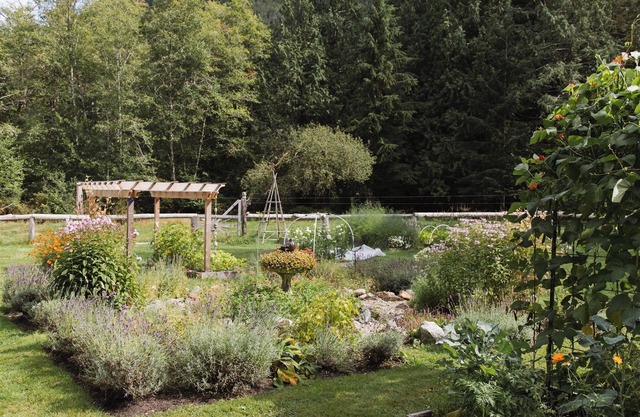 Oceanfront Little Wren wilderness cabin with spectacular view.