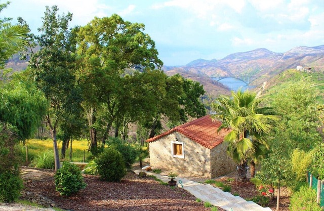 Oak cottage - Lago Azul - 36578/AL