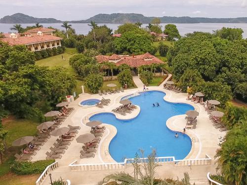 Occidental Papagayo Adults 
