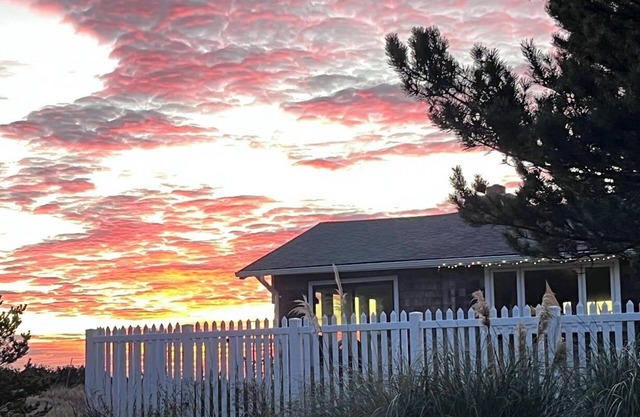 Ocean-front Cedar Cabin, Horse/Dog friendly, Birdwatcher's paradise!
