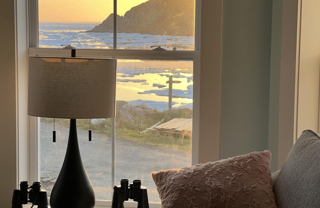 Ocean, Iceberg, Whale views!