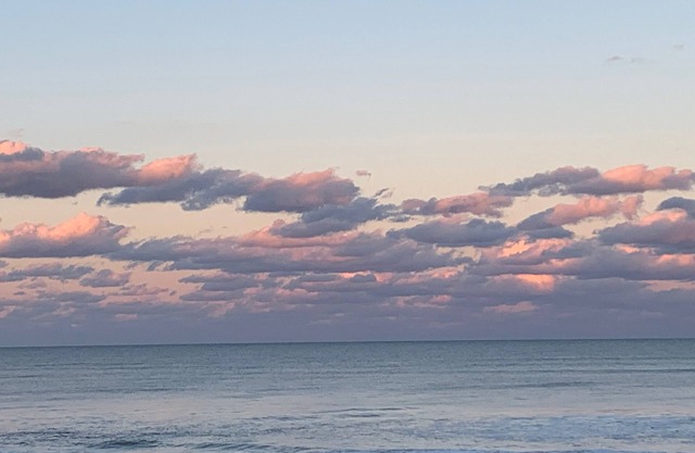 Ocean View Beach Condo