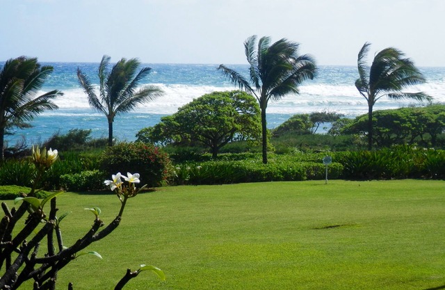 OCEAN VIEW FROM LANAI-ENJOY SOUND AND VIEW OF WAVES-STEPS TO BEACH-FREE PARKING