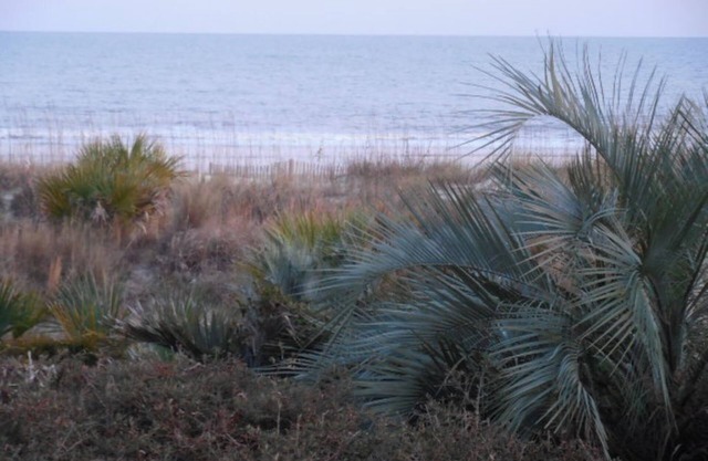 Oceanfront 137 Breakers