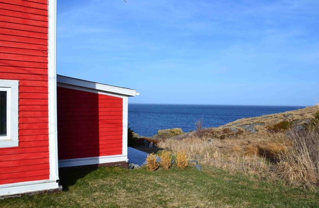 Oceanfront Cottage at the Edge of the Earth, St. John's