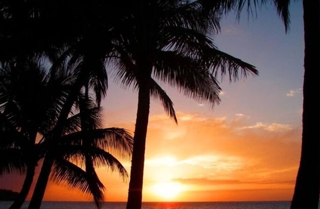 Oceanfront Cottage! On SPECIAL May 31- June 2! Permit # 90/tvu-0631