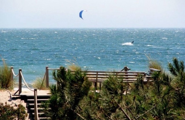 Oceanfront, Master Ste, New deck, Remodeled, Dune deck, Media Rm, Private garden