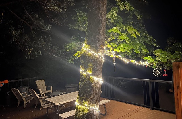 Oceanfront Tiny-house on 2 Wooded Acres! TWO WEEKS FREE with 2-week rental!